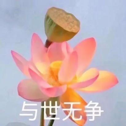 ..“芸姐”🔥……