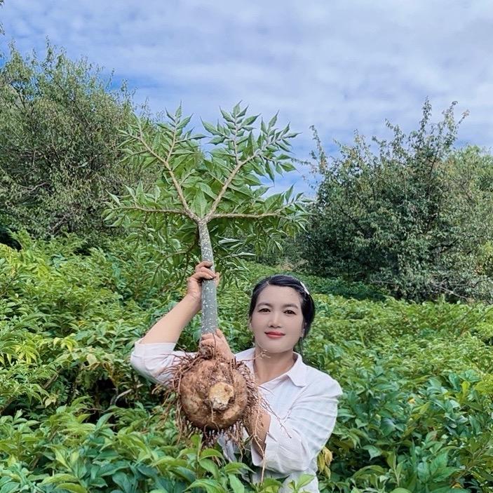 洱源育英种植养殖家庭农场