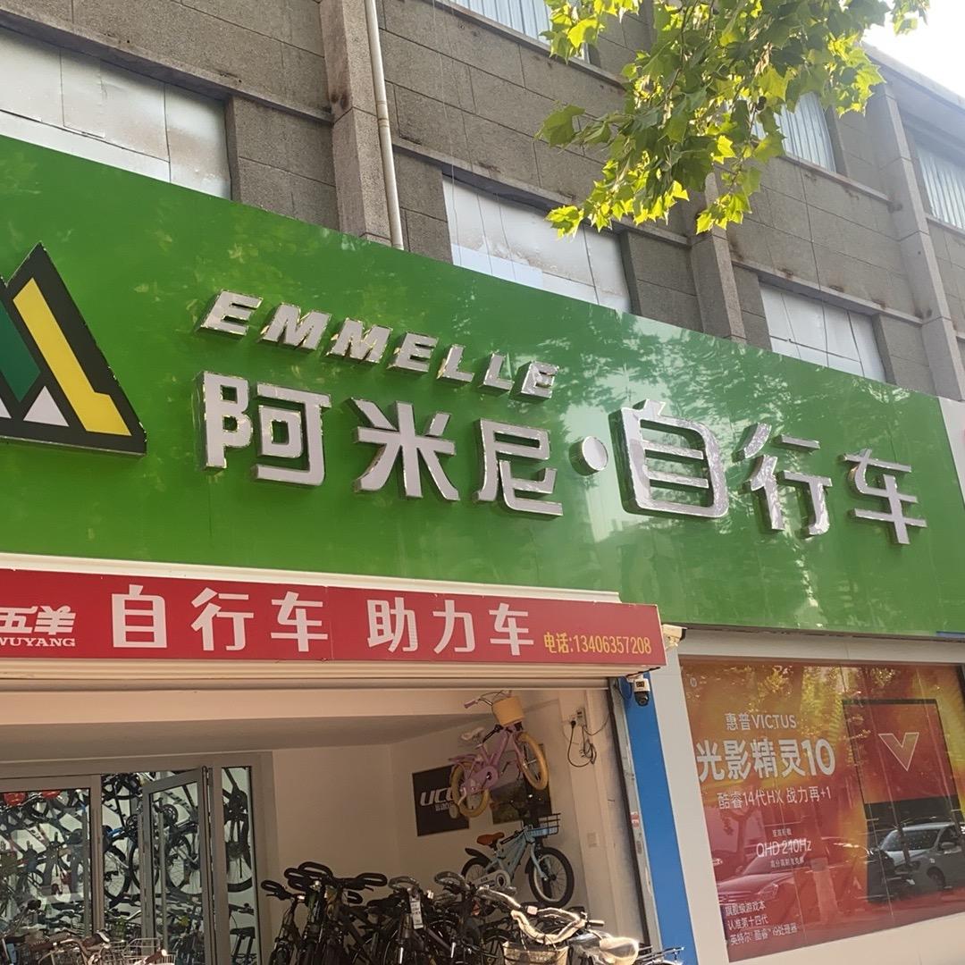 莘县百大三联楼下邦德*富士达阿米尼自行