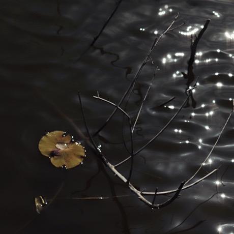 植也自然景观设计