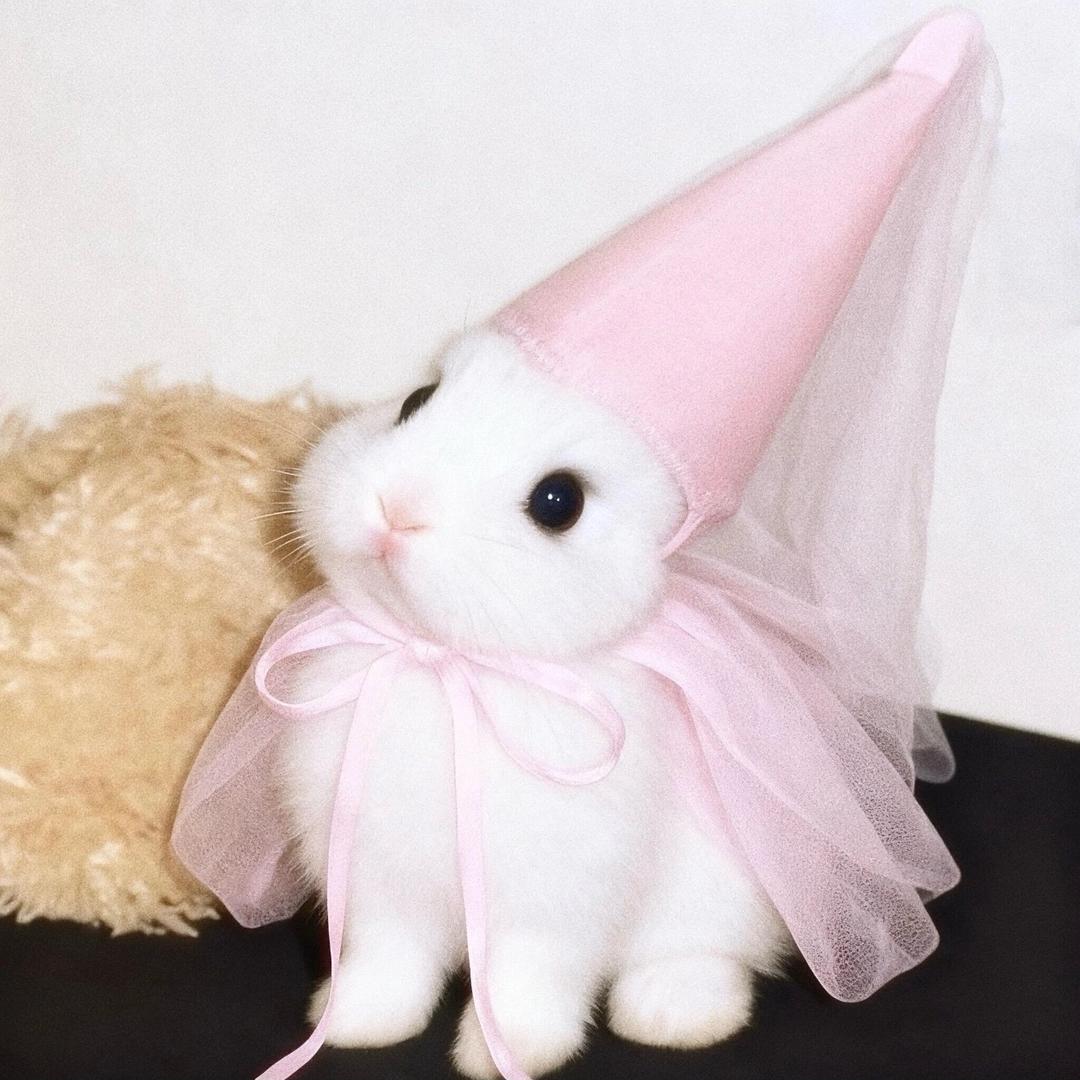 无敌小玥历险记🐰