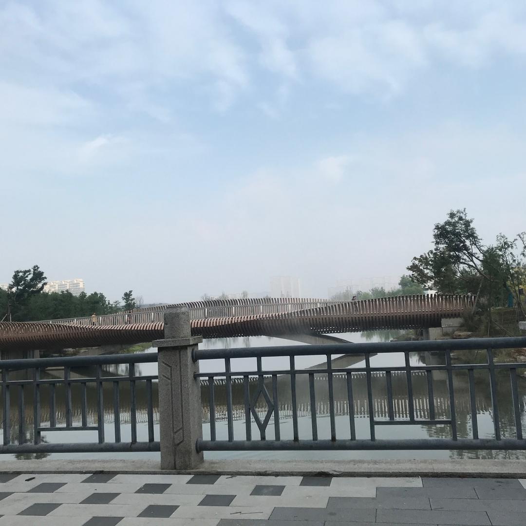 戈麦斯香尔