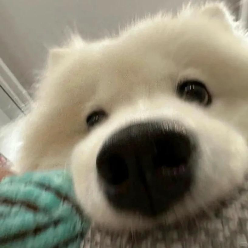 W.