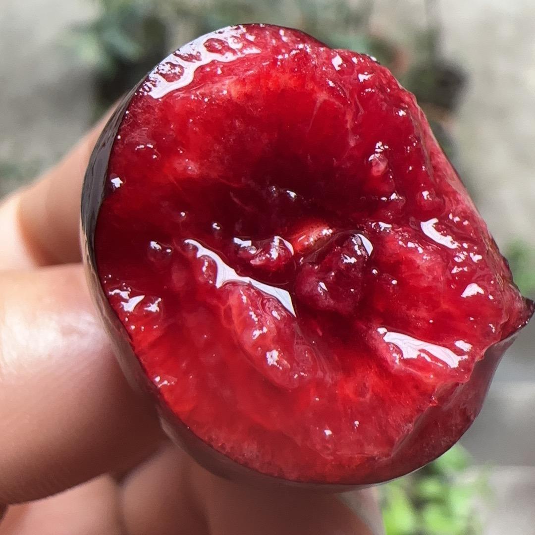 樱桃🍒小刘
