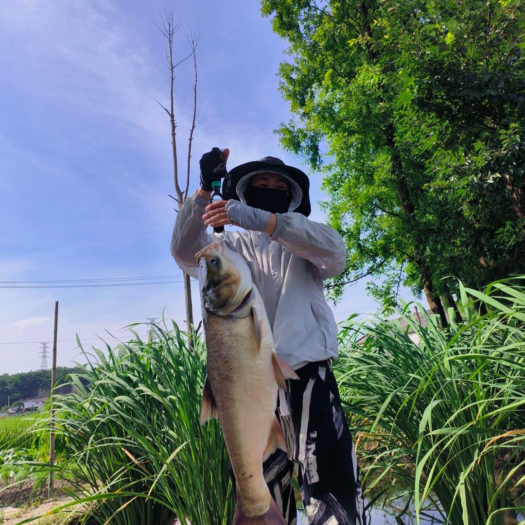 野钓手（业余创作者）🎣