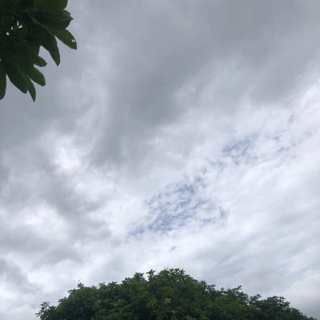 基尔希