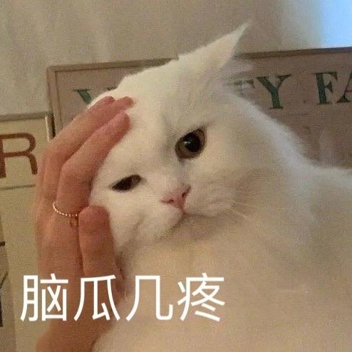 扶老奶奶闯红灯