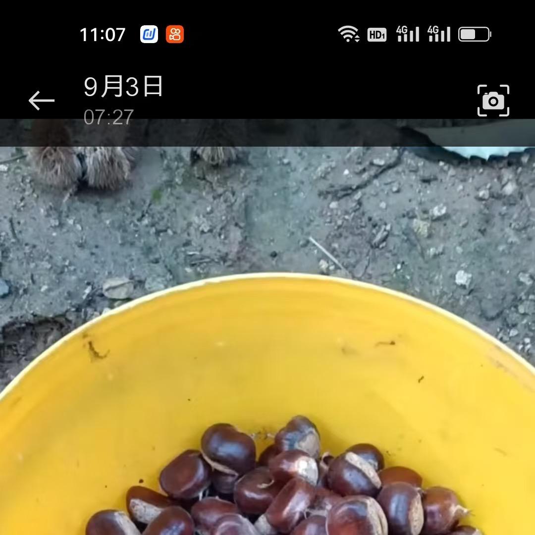 遵化市凤凰南路海哥综合商店