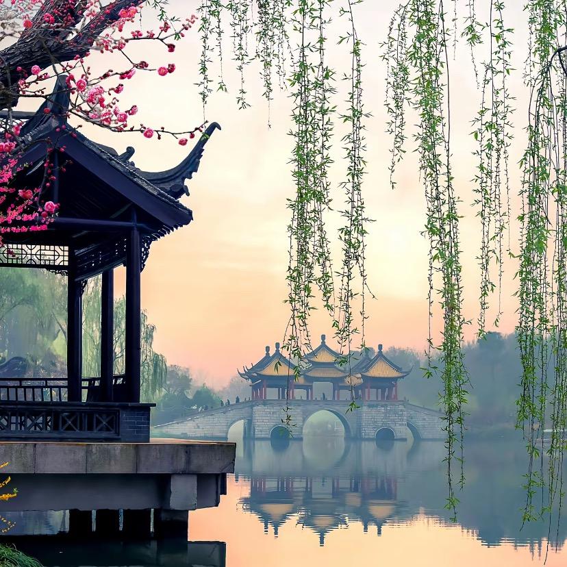 奕辰鸿-吕东师兄