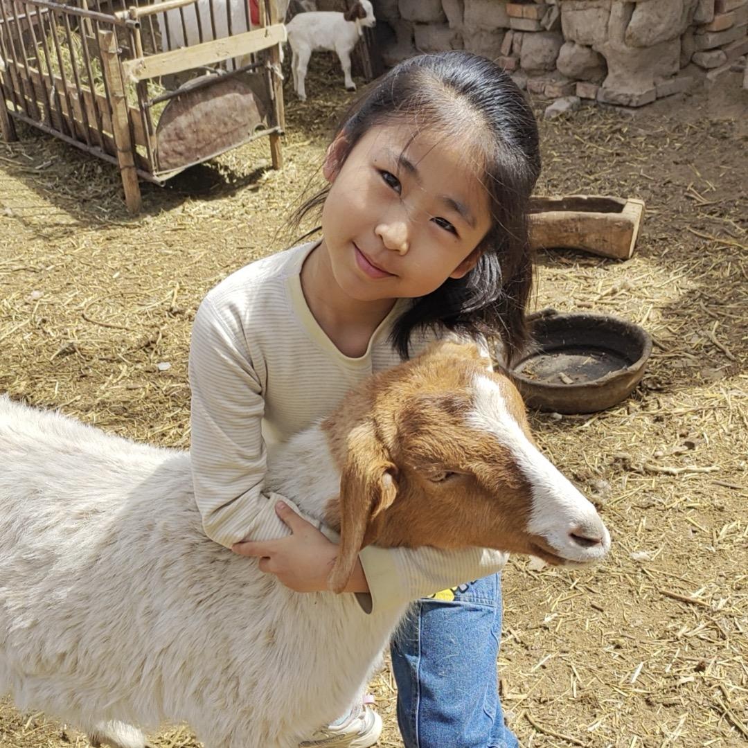 👳🏻‍♀️面粉哥阿晨👑