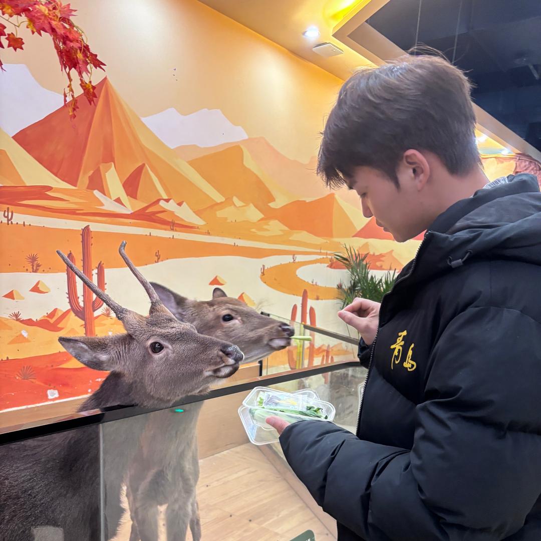 老车主淘淘二手车