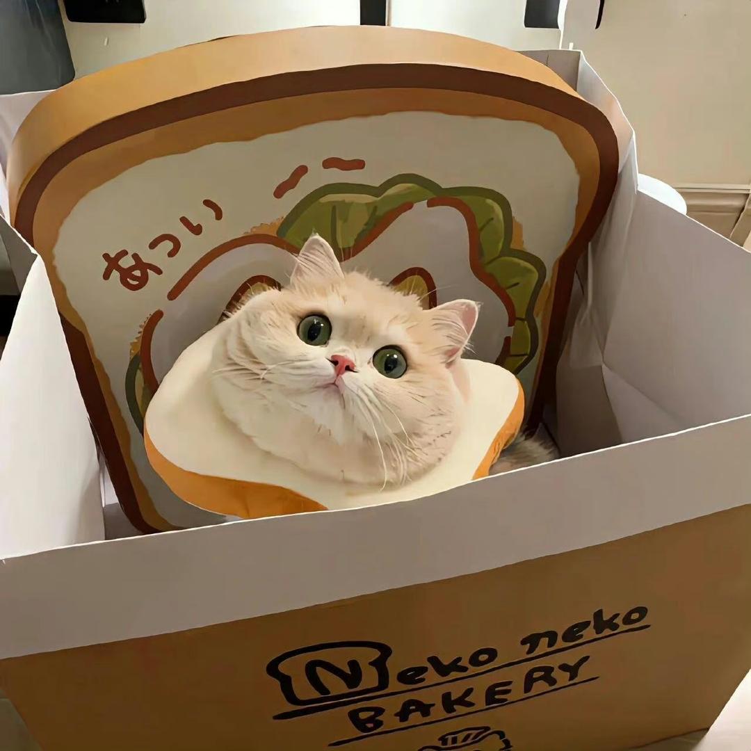 花骨朵（见过王鹤棣版）