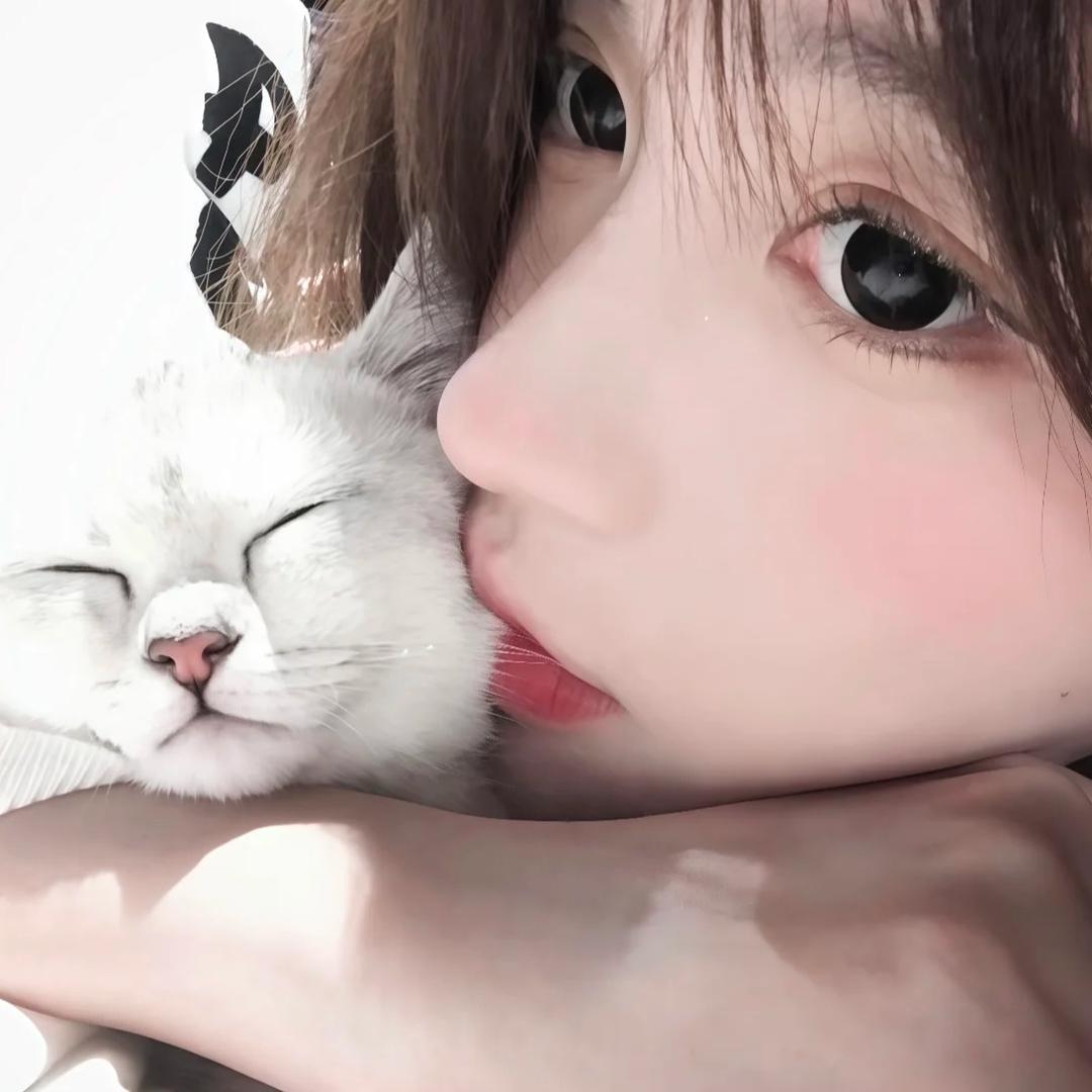 一万吨的喵🦋