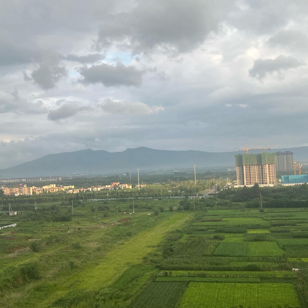 羊羊扛狼（咩咩咩）