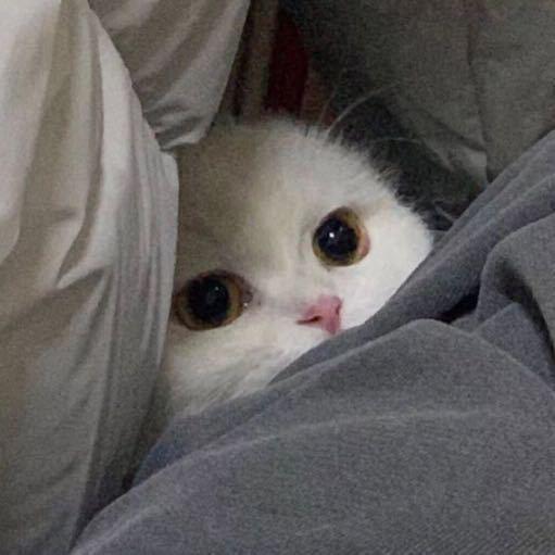 灵儿.