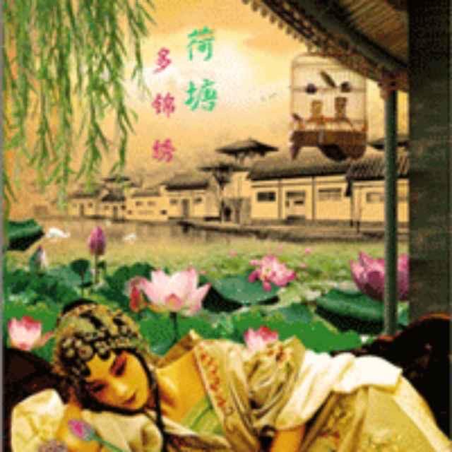 荷塘锦绣 宏津隆记