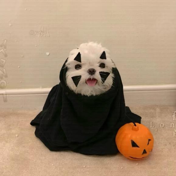 北极星