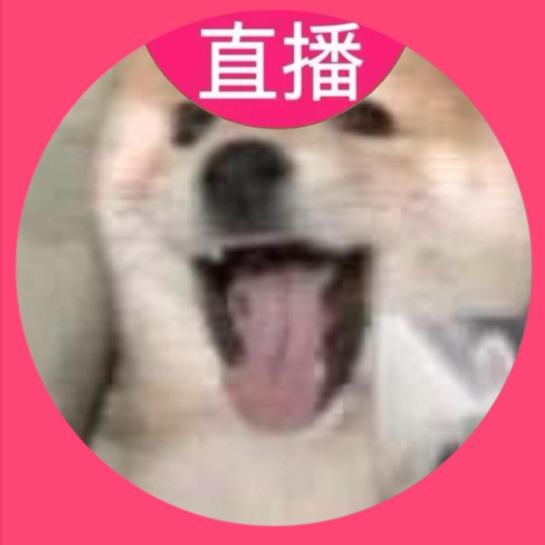 狗哥严选
