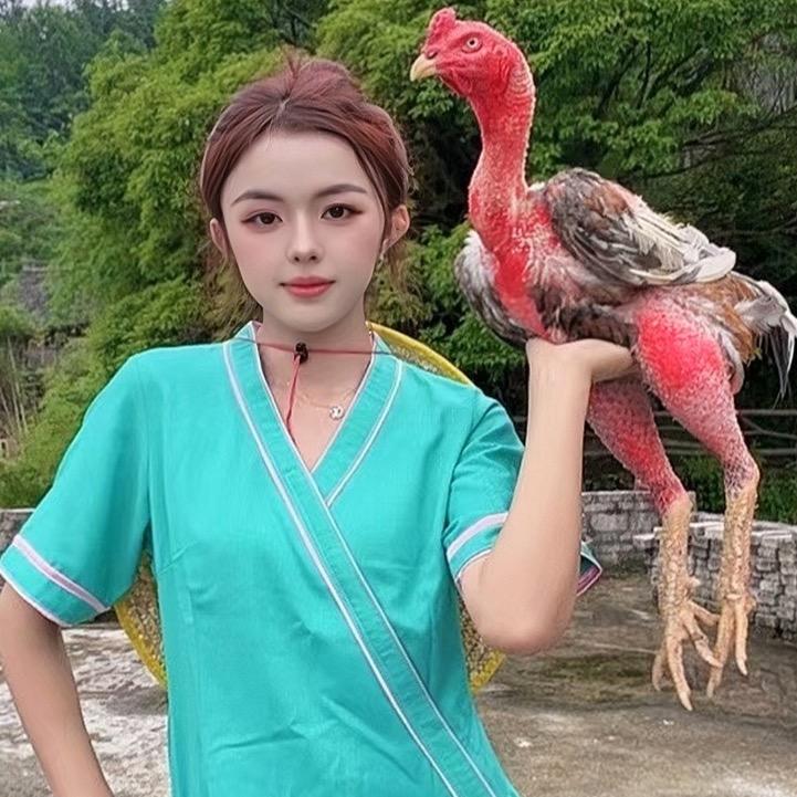 阿英.斗鸡妹🐔