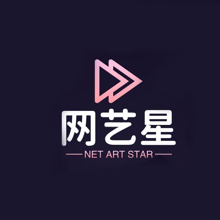 襄阳网艺星
