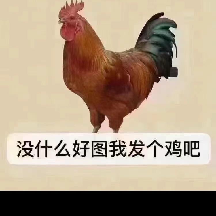 追风人