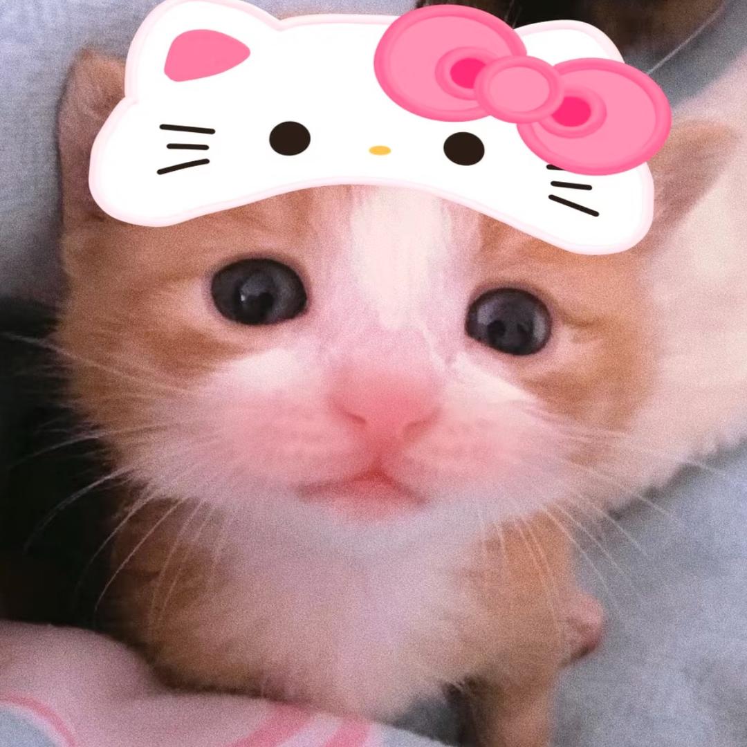 AAA阿星-星露谷杨桃果酱出售