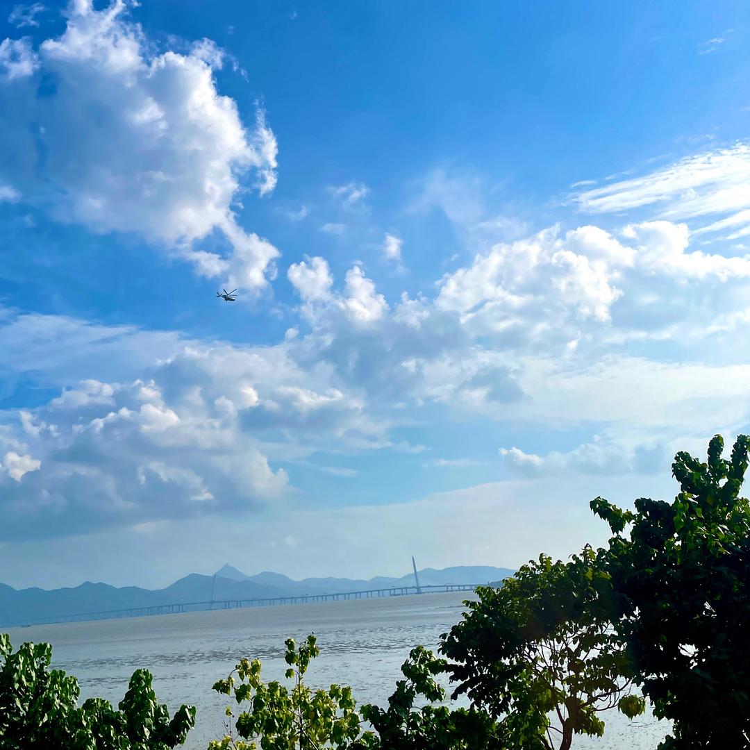 桂投