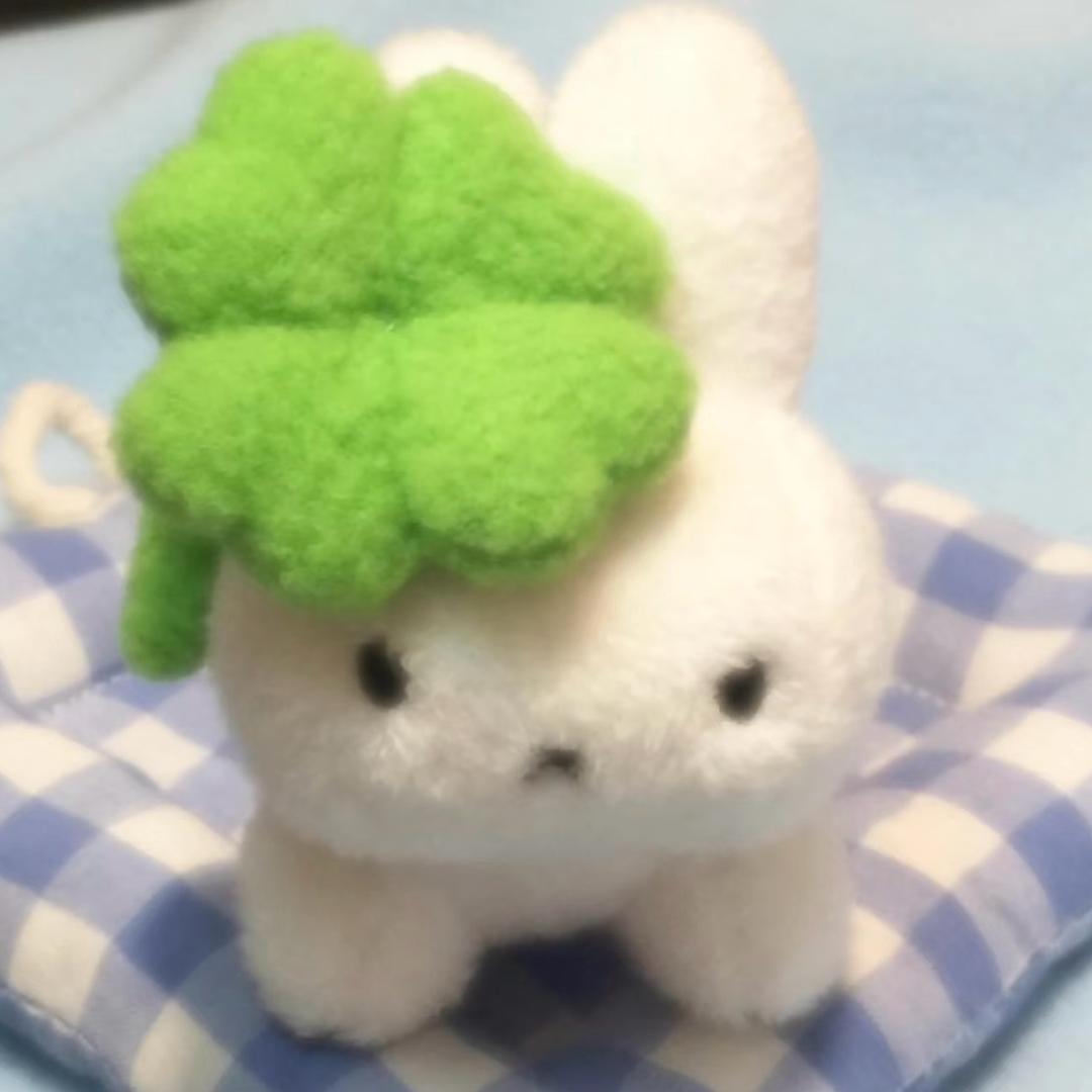 yooki