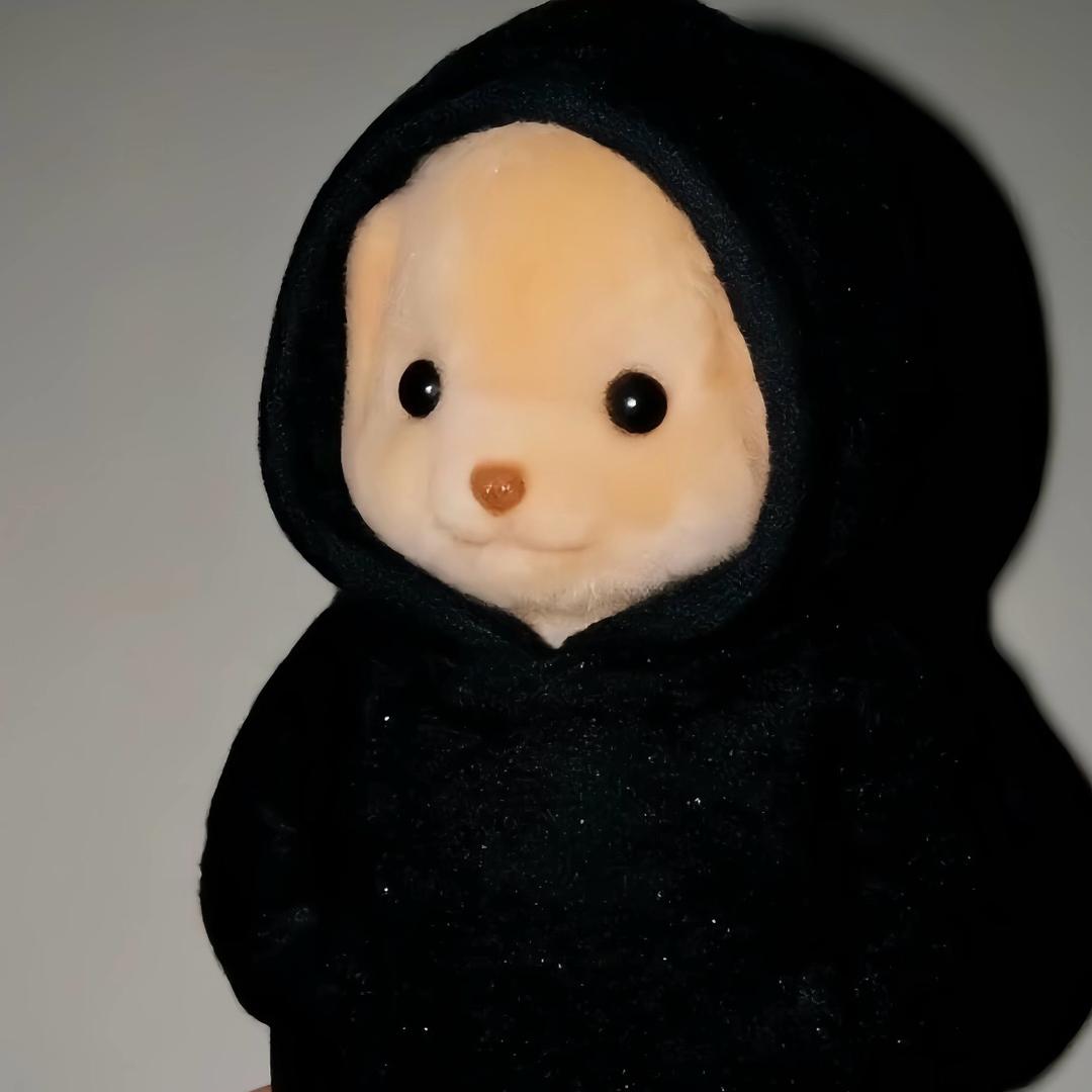 小白.