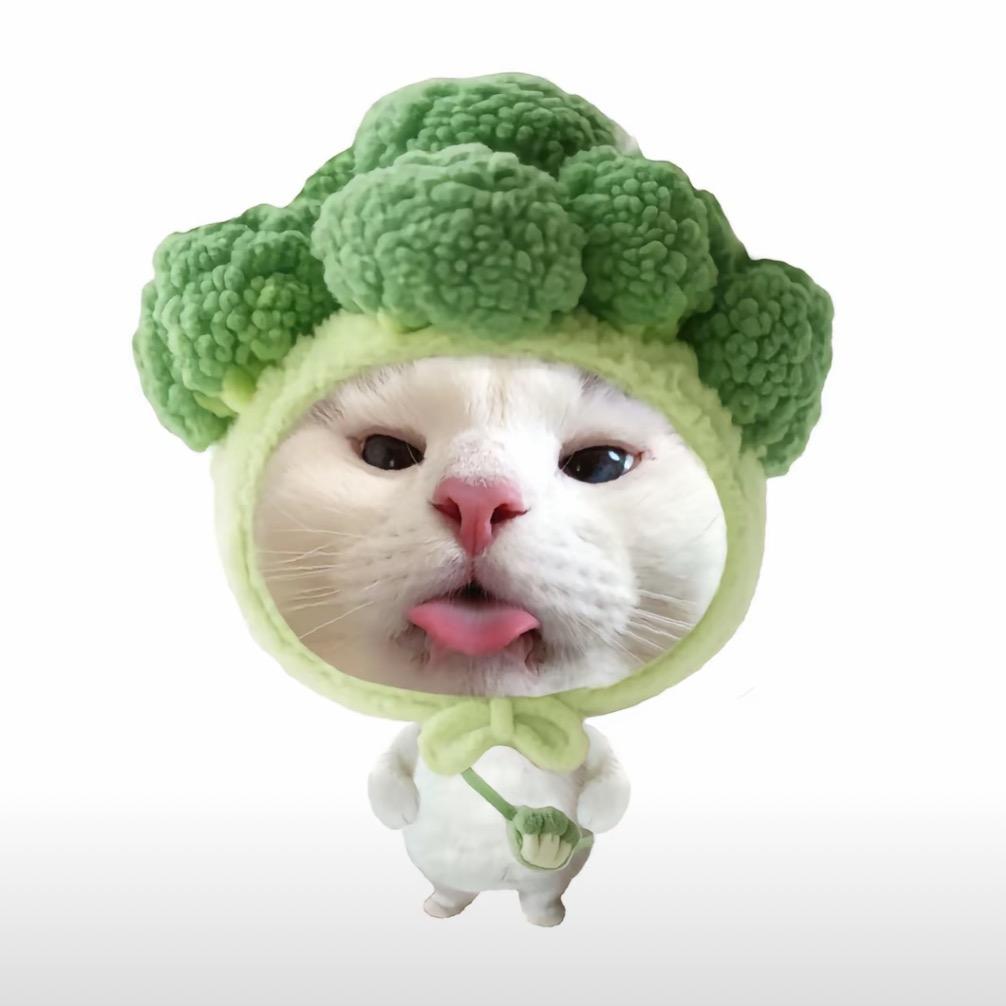华丽北极虾