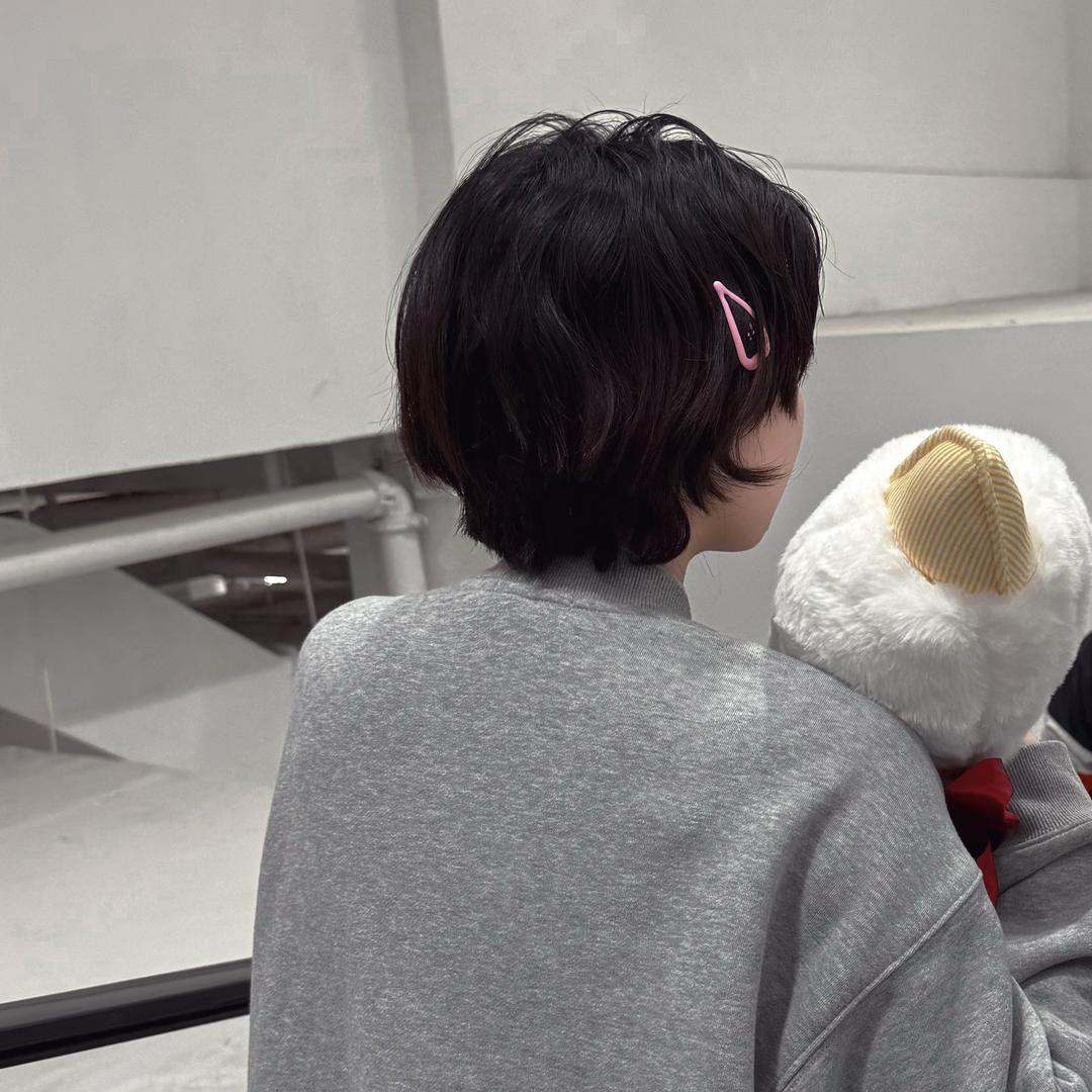 朱小慧鹅