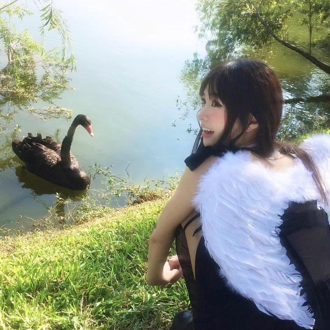 我系燕子