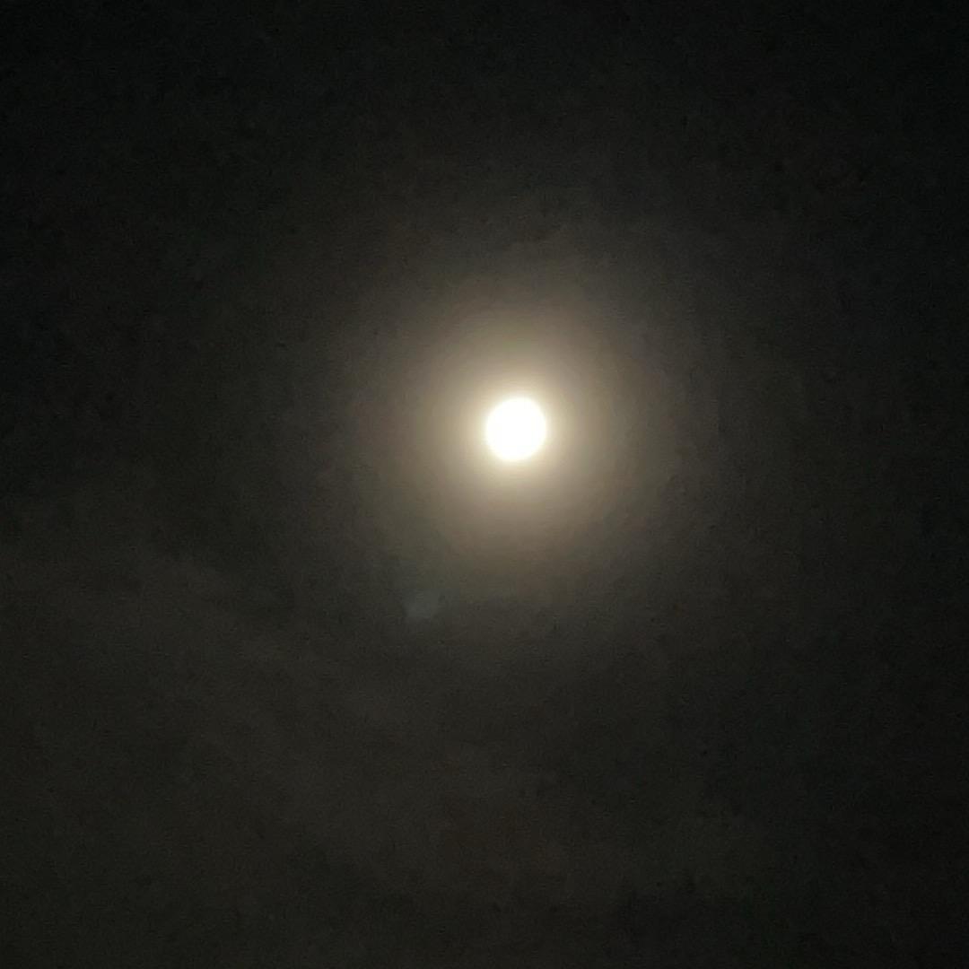 七月