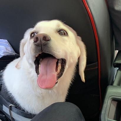 捕捉星星和海洋