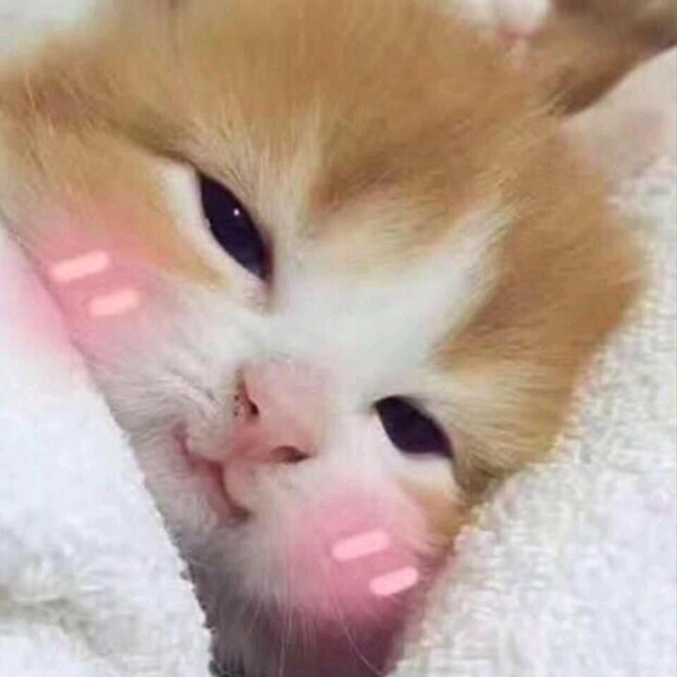 老Ｋ