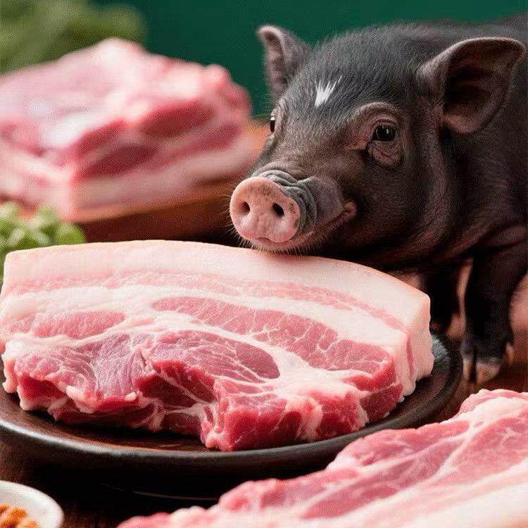 沂蒙山跑山猪黑猪