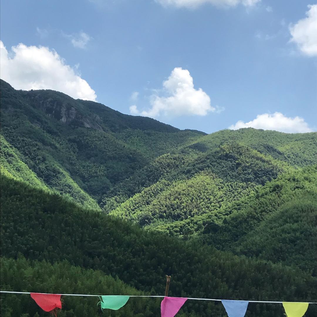 清水