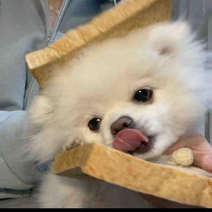 胡书娴