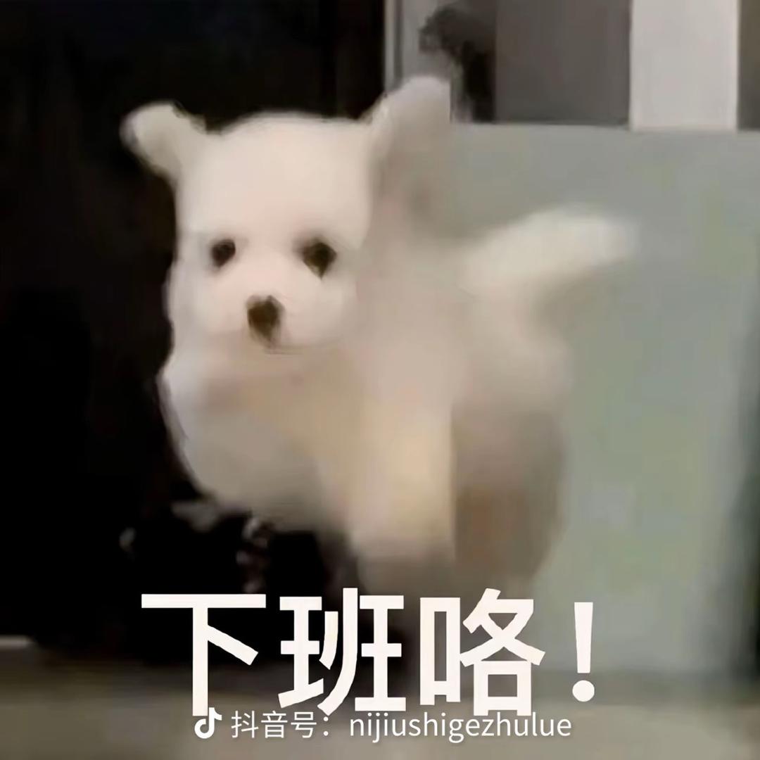 蹦蹦炸弹