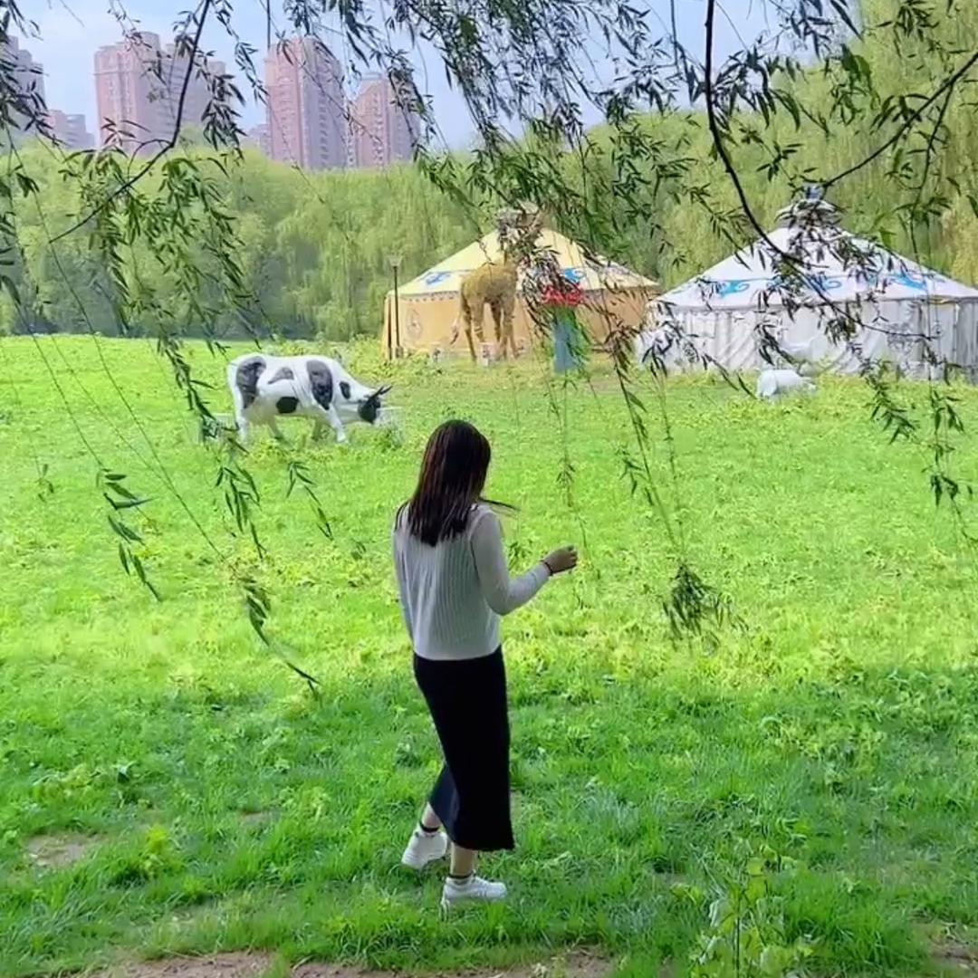 小丑鱼~