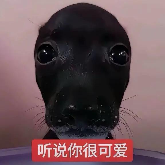 早起的虫儿有鸟吃