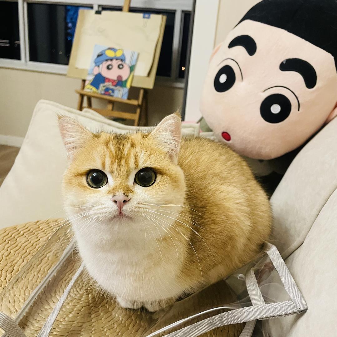 183腹肌校霸⚡️