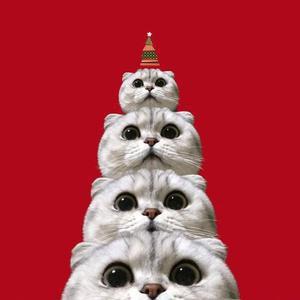 北鼻来看剧@抖音