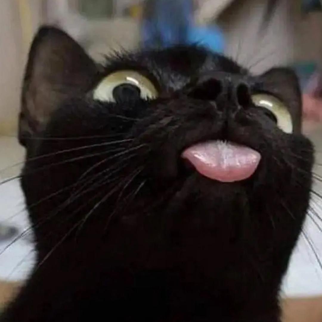 开心每天