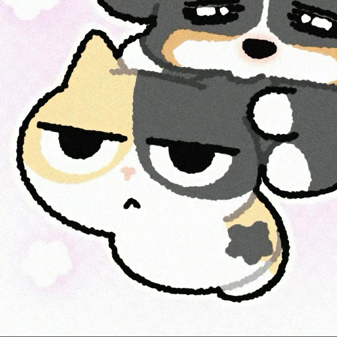 小洋圈⭕