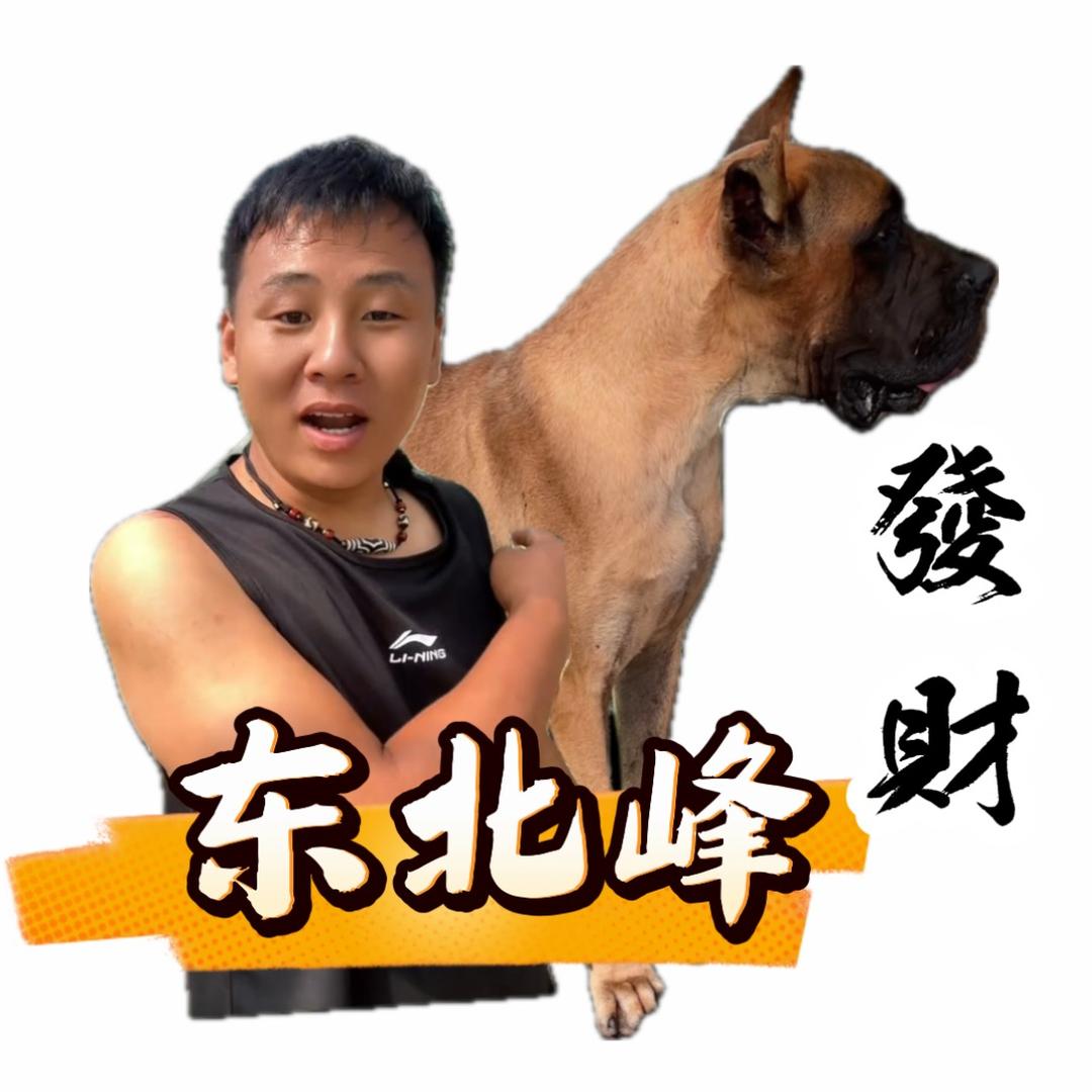 东北峰【闯路人】