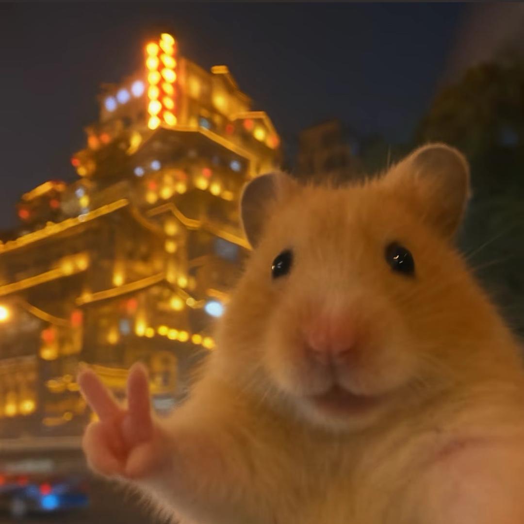 语生