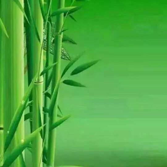 红尘深处