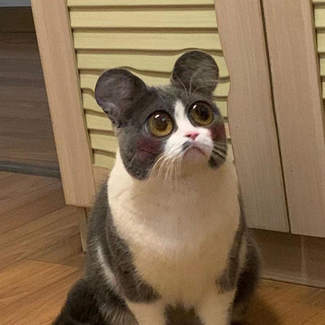 bBbbbbbbbb