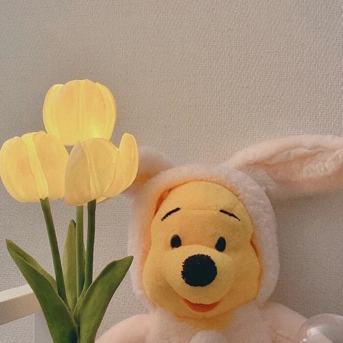 是娇娇呐